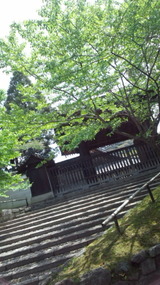 9b5fd774.jpg