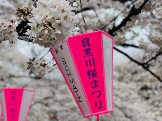 6B6B1E5A-882A-40BF-9C7D-D67D15945C8C