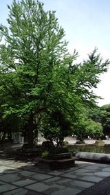 b773a816.jpg