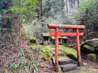 IMG_5599