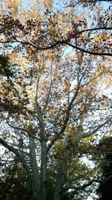 c01f79b8.jpg