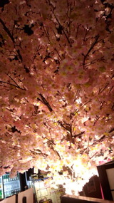 c9b91528.jpg