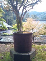 cf8e975e.jpg