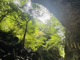 IMG_6778