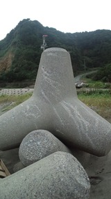 d9e636a7.jpg