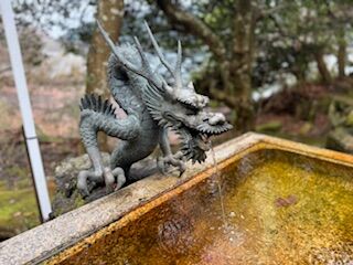 IMG_5635