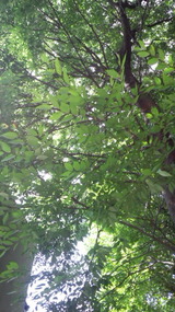 e899ee57.jpg
