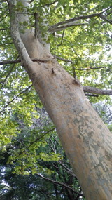 f27300aa.jpg