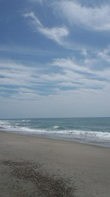 f4668093.jpg