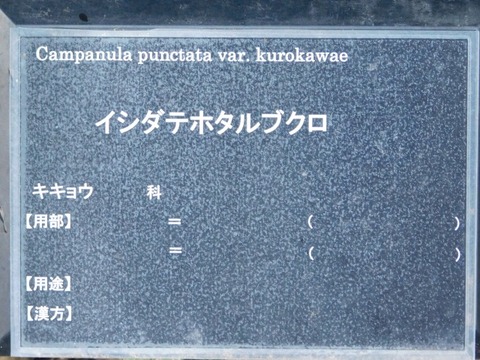 DSCN6950