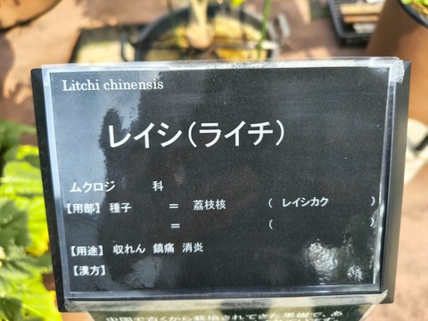 IMG_20260716_153111317_HDR