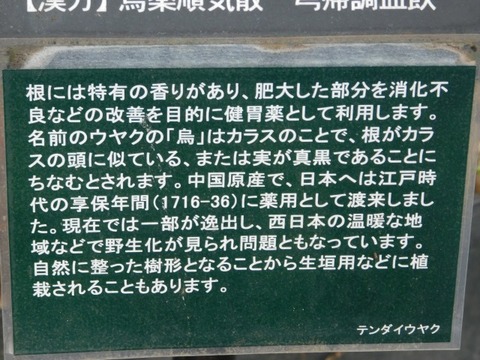 DSCN3679