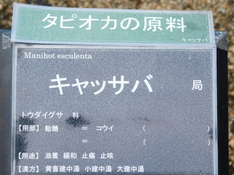 DSCN2722