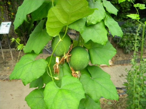 DSCN9932