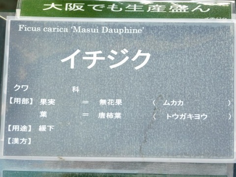 DSCN2183