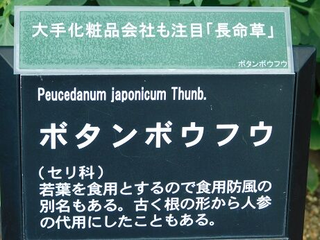 DSCN9948