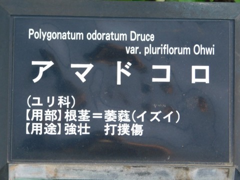 DSCN3851