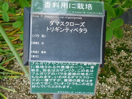 DSCN9294