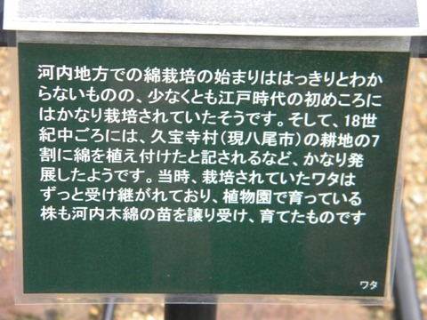DSCN0009