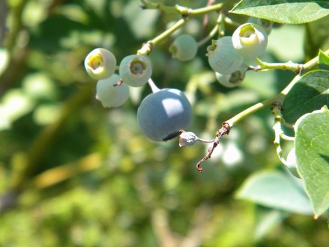 DSCN9444