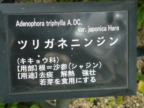 DSCN9889