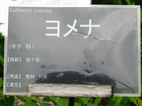 DSCN5761