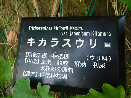 DSCN9854