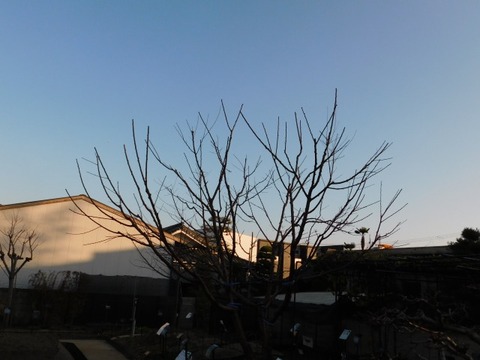 DSCN3404