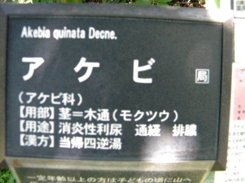 DSCN9450