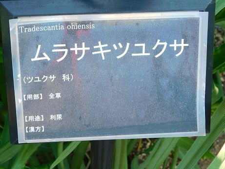 DSCN4819