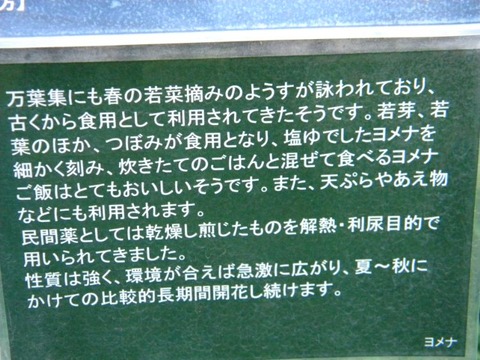 DSCN9973