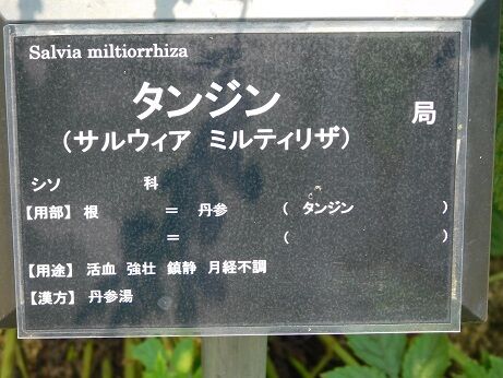 DSCN8096