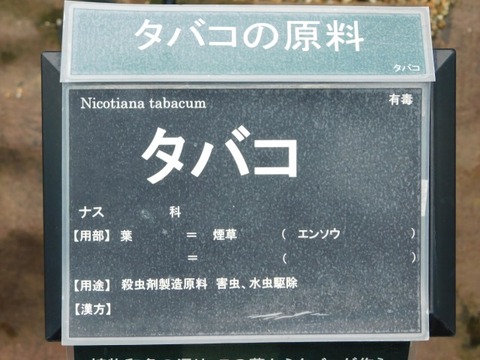 DSCN7478