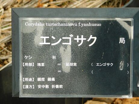 DSCN1247