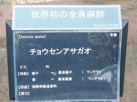 DSCN5069