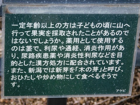 DSCN5348