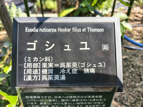 IMG_20260716_154635362_HDR
