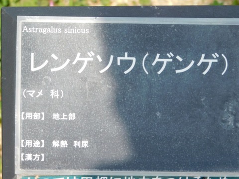 DSCN3581