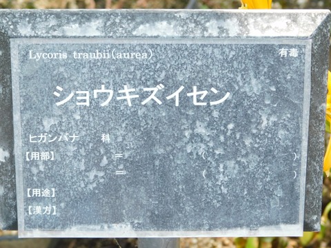 DSCN5402