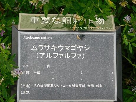 DSCN9715
