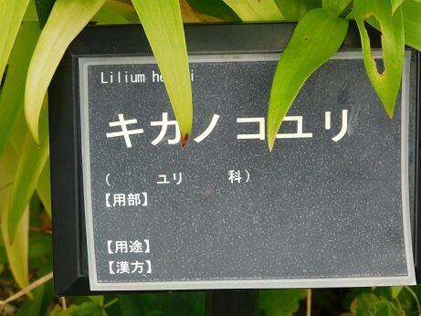 DSCN9888