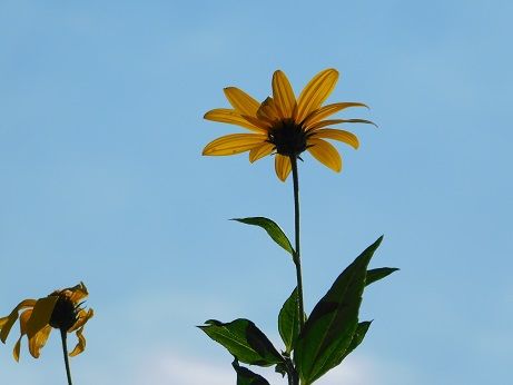 DSCN4075