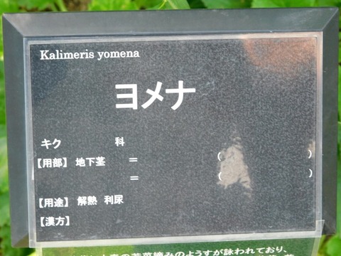 DSCN7182