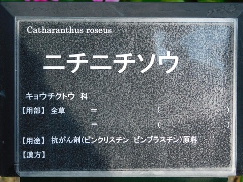 DSCN7320