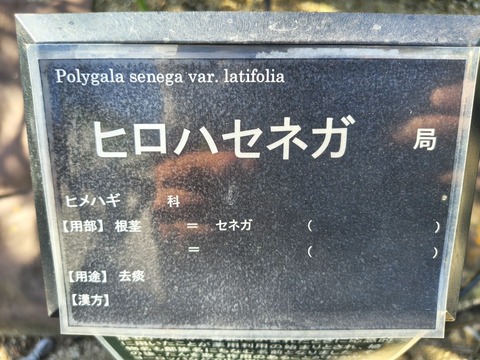 IMG_20261003_142040591_HDR