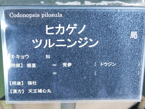 DSCN7171