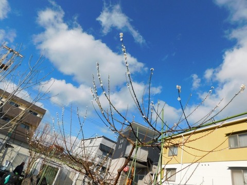 DSCN3547