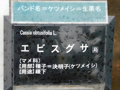 DSCN4335