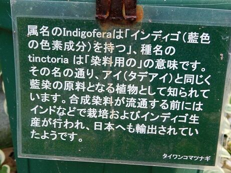 DSCN8692