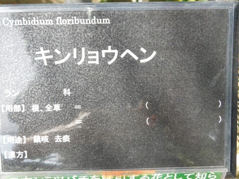 DSCN6604